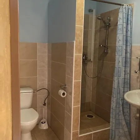 Zlaty Lev Puclice
